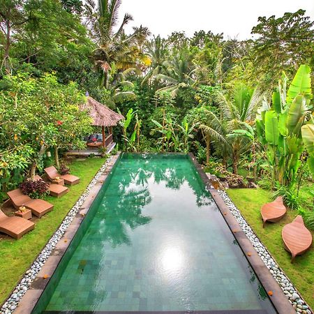 Villa Viola Ubud Exteriör bild