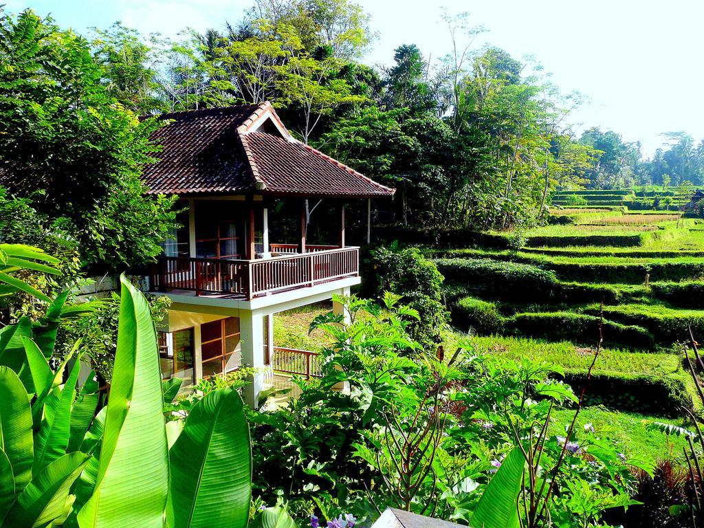 Villa Viola Ubud Exteriör bild