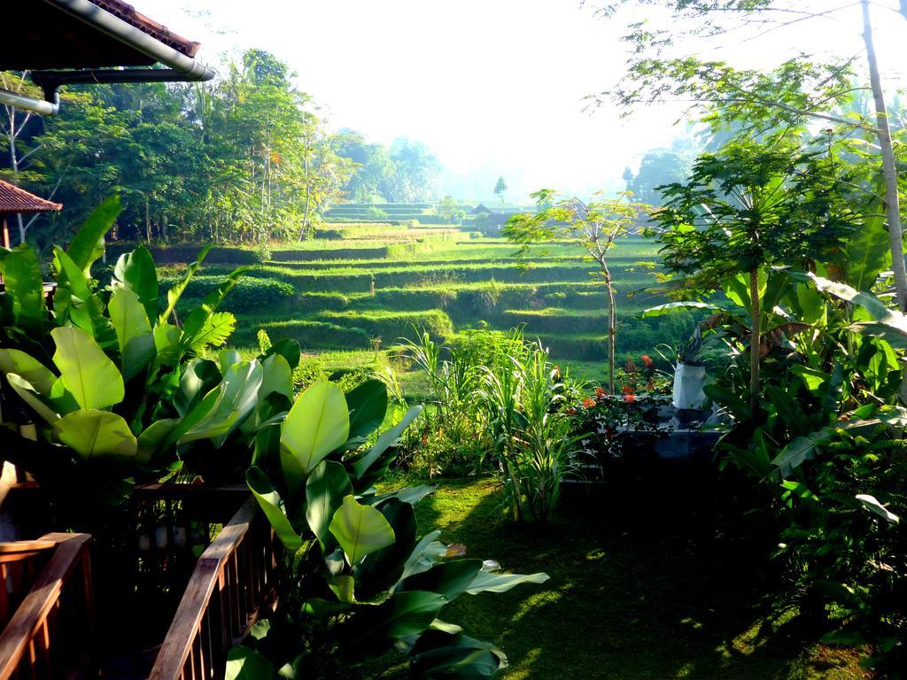 Villa Viola Ubud Exteriör bild