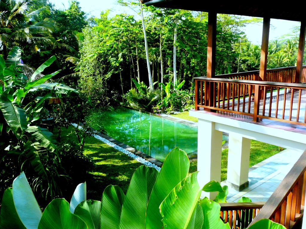 Villa Viola Ubud Exteriör bild