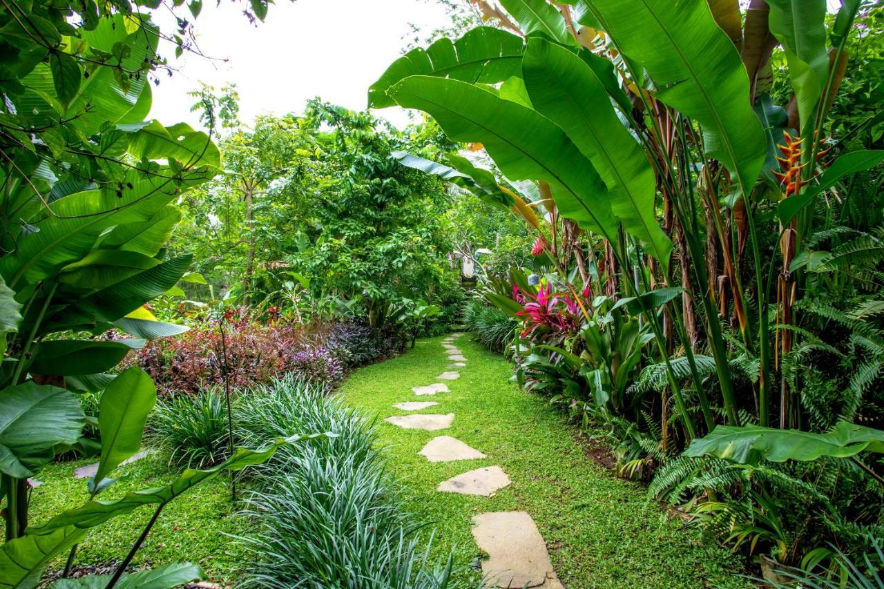 Villa Viola Ubud Exteriör bild