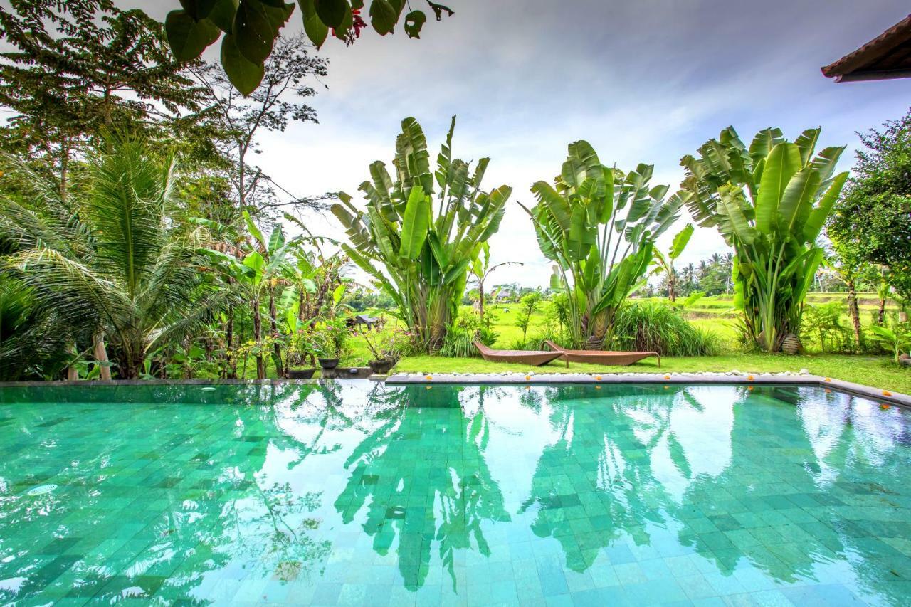 Villa Viola Ubud Exteriör bild